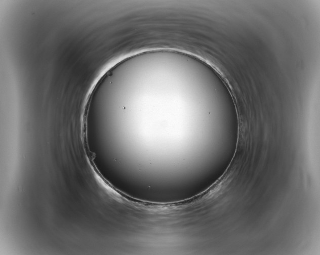 X0000086741535200704271640