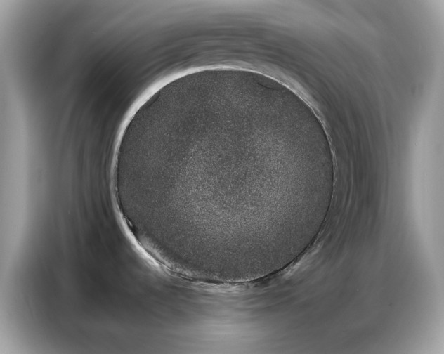 X0000086741536200704271640