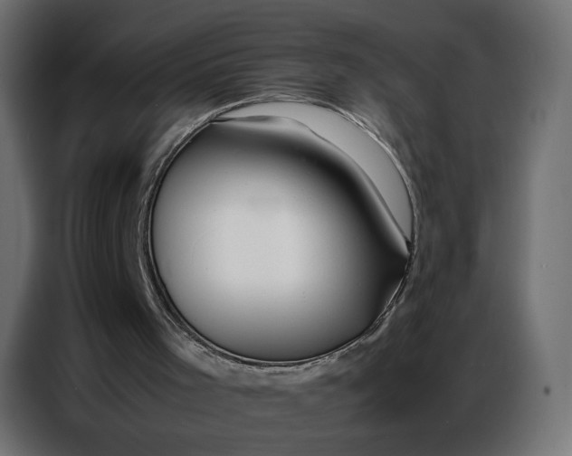 X0000086740001200705041417