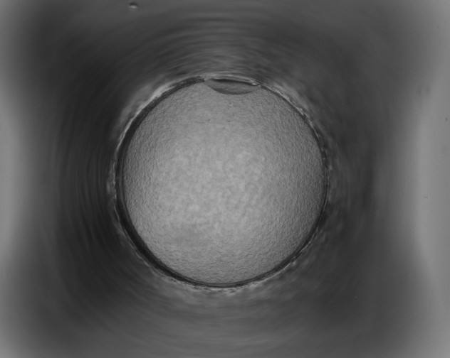 X0000086740002200705041417