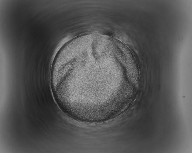 X0000086740003200705041417