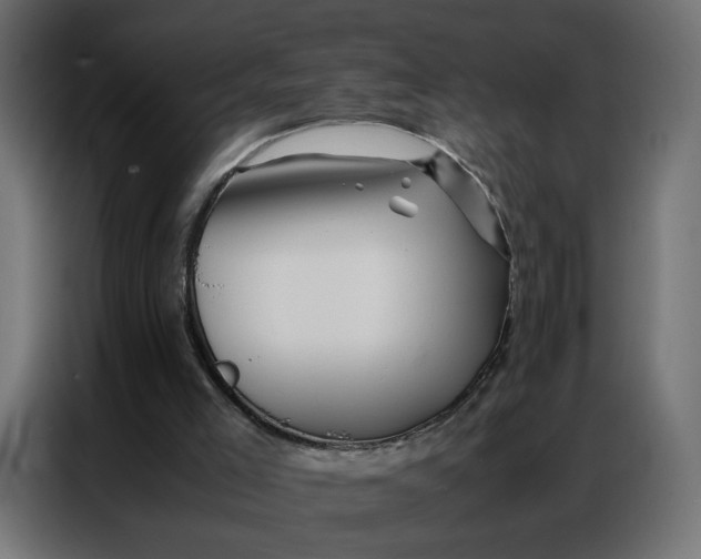 X0000086740005200705041417