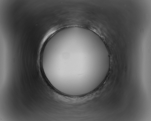 X0000086740006200705041417