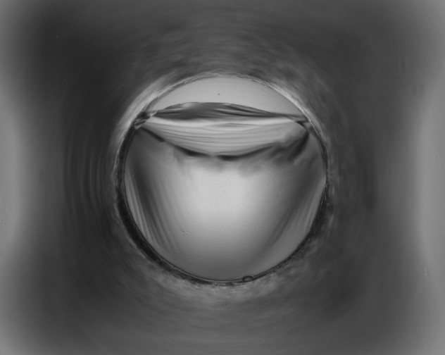 X0000086740007200705041417