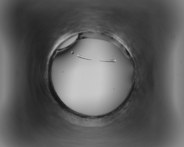 X0000086740008200705041417