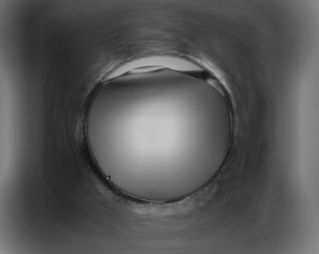 X0000086740009200705041417