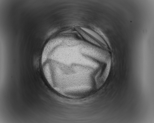 X0000086740010200705041417