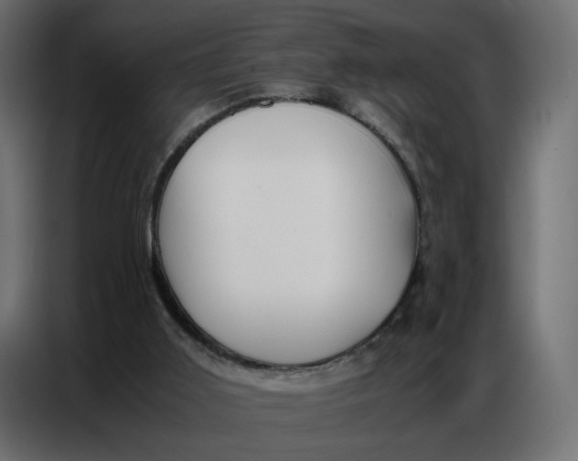 X0000086740011200705041417