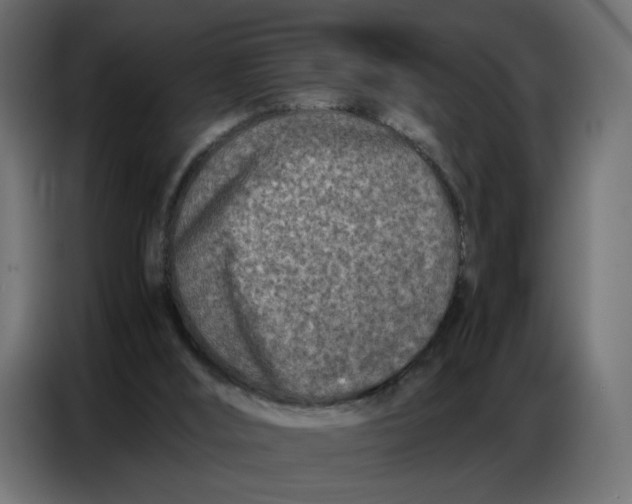 X0000086740012200705041416