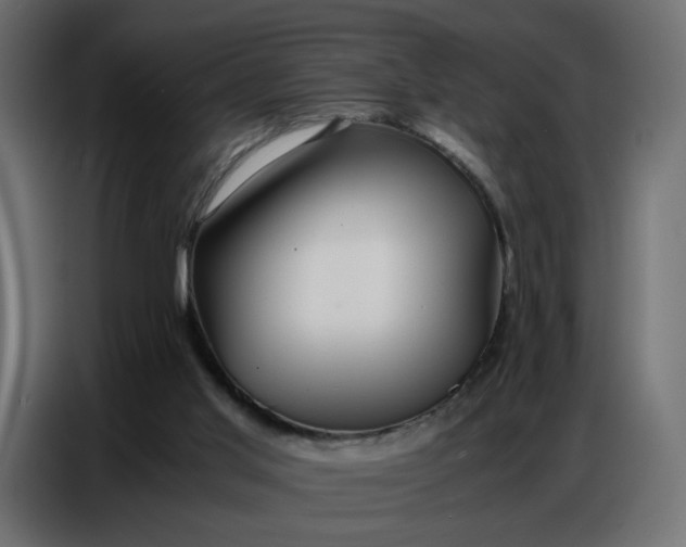 X0000086740013200705041416