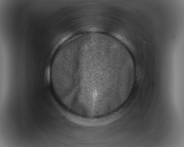 X0000086740014200705041416