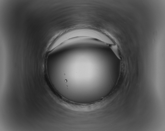 X0000086740015200705041416