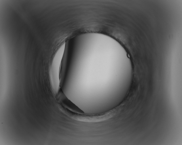 X0000086740017200705041416