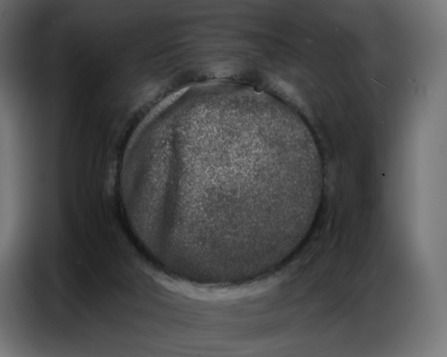 X0000086740018200705041416