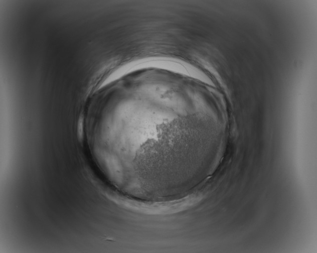 X0000086740019200705041416