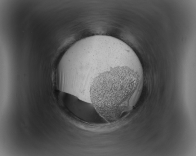 X0000086740023200705041416