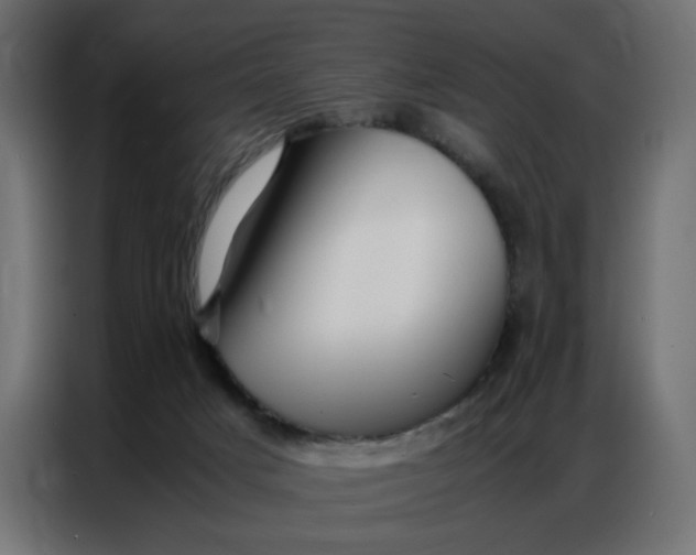 X0000086740025200705041416