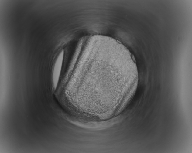 X0000086740027200705041416