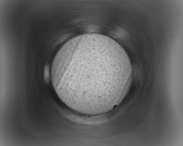 X0000086740028200705041416