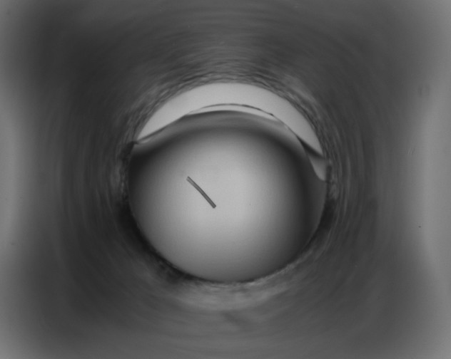 X0000086740029200705041416