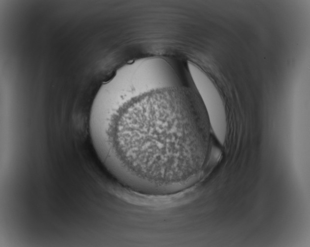 X0000086740031200705041416