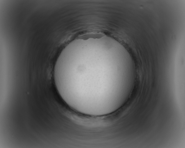 X0000086740032200705041416