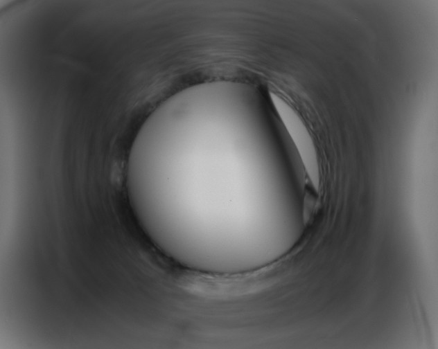 X0000086740033200705041416