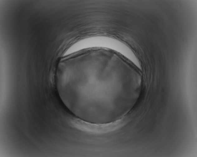 X0000086740035200705041416