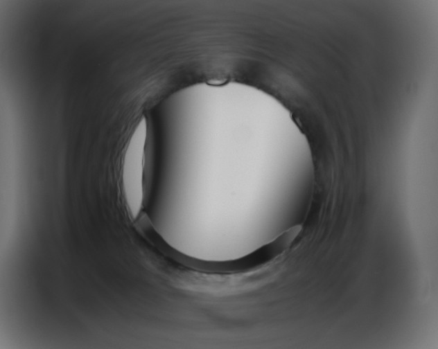 X0000086740037200705041416