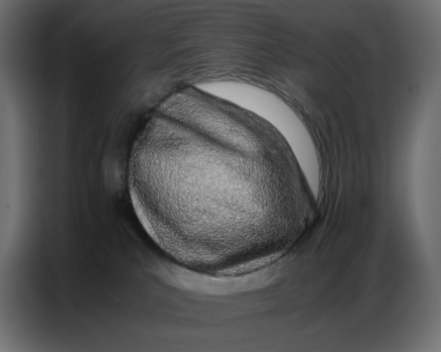 X0000086740039200705041416