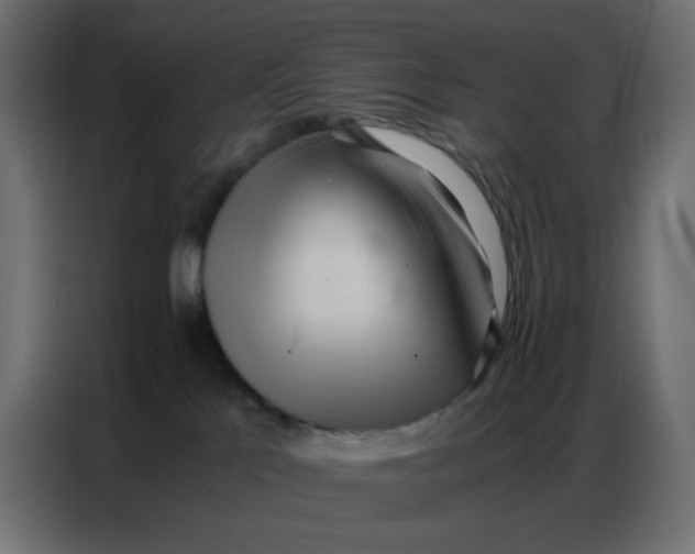 X0000086740041200705041416