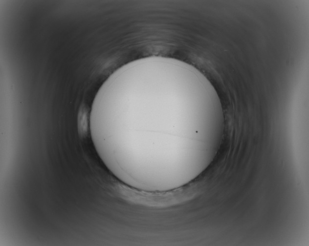 X0000086740042200705041416