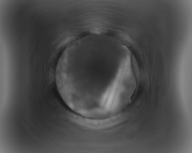 X0000086740043200705041416