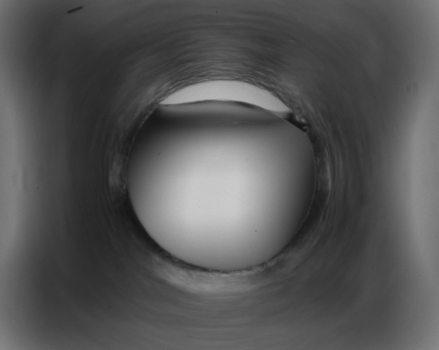 X0000086740044200705041416