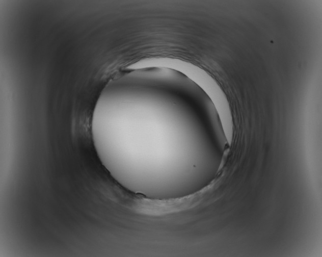 X0000086740045200705041416