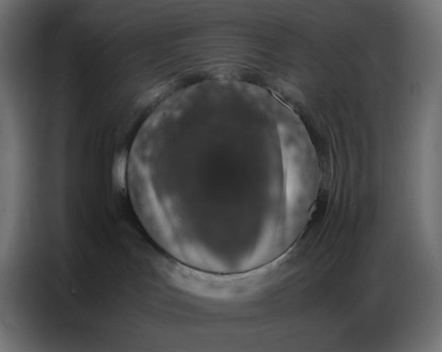 X0000086740047200705041416