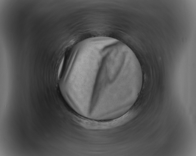 X0000086740048200705041416