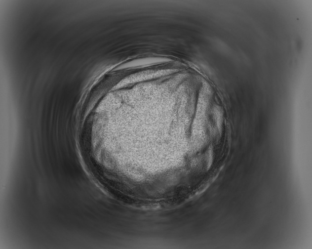 X0000086740049200705041415