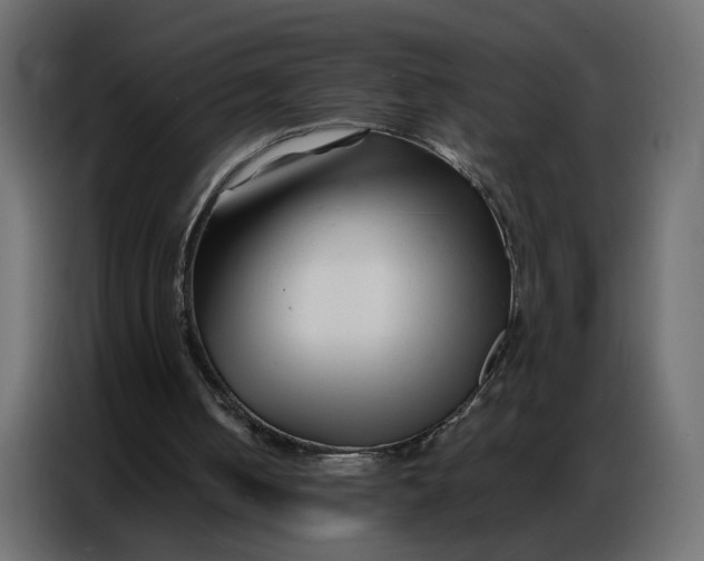 X0000086740050200705041415