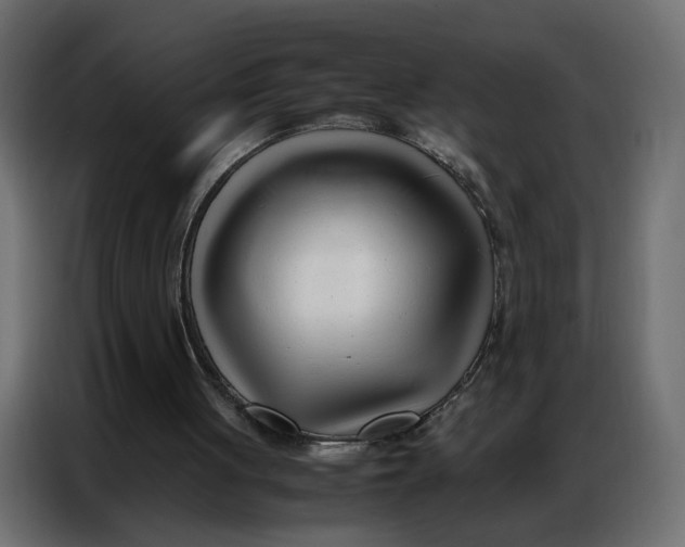 X0000086740051200705041415