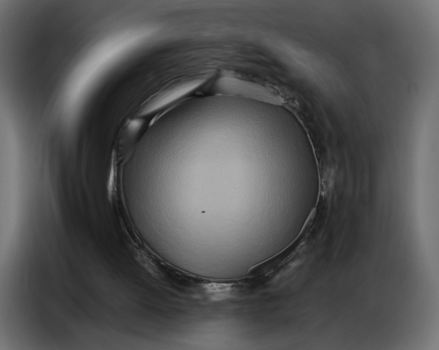 X0000086740052200705041415