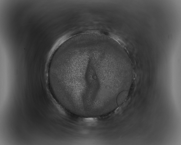 X0000086740053200705041415