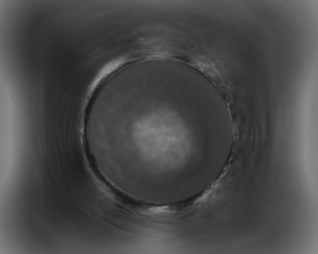 X0000086740054200705041415