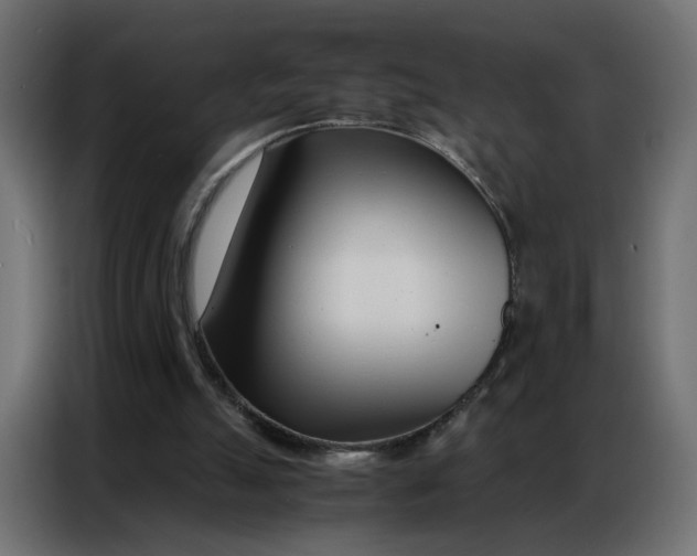 X0000086740055200705041415