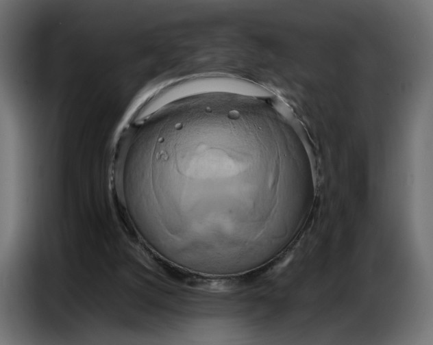 X0000086740056200705041415