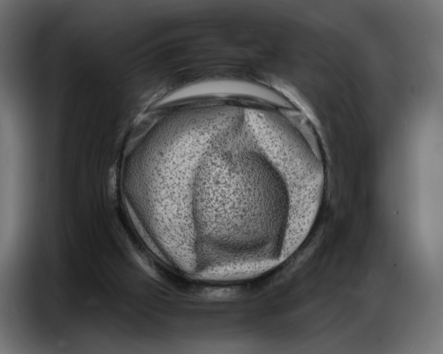 X0000086740057200705041416