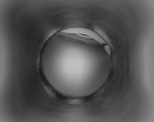 X0000086740058200705041416