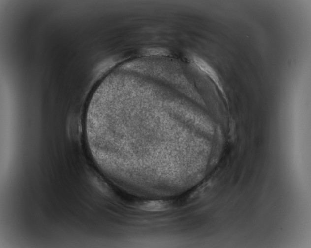 X0000086740059200705041416