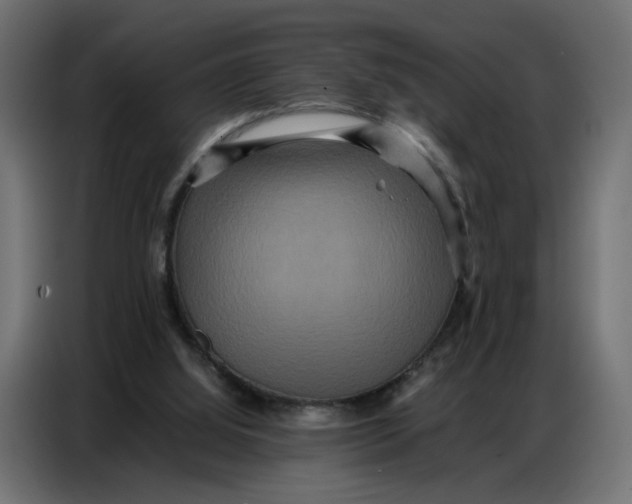 X0000086740060200705041416