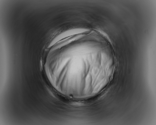 X0000086740061200705041416